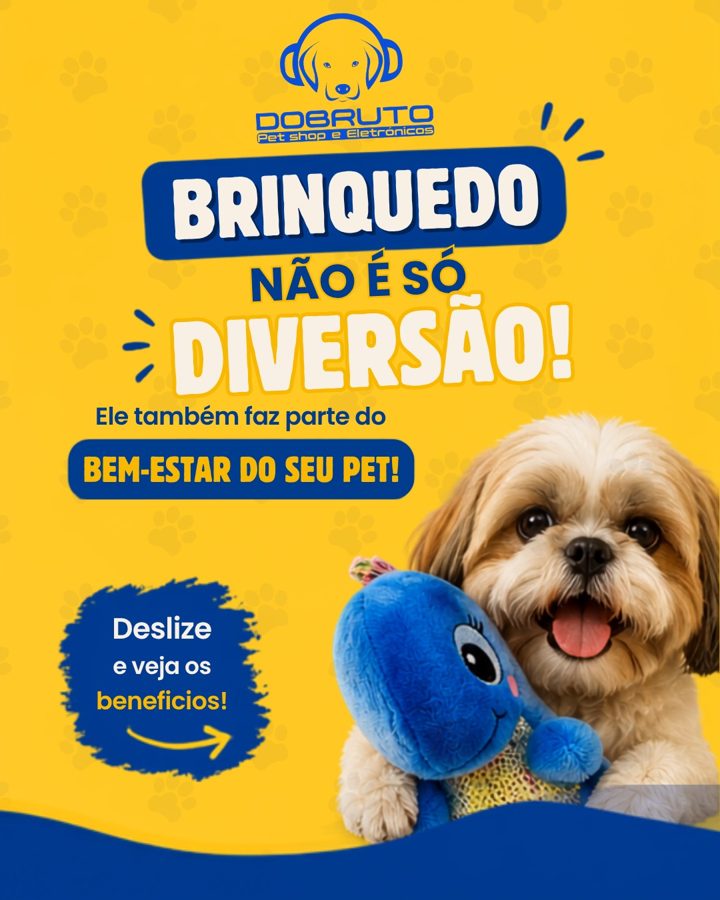 Dobruto: Brinquedo não é só diversão